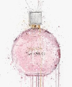 Perfumes | Fragrances